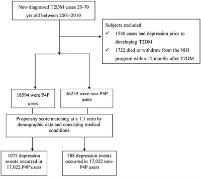 Adding Pay-for-Performance Program to Routine Care Was Related to a Lower Risk of Depression Among Type 2 Diabetes Patients in Taiwan